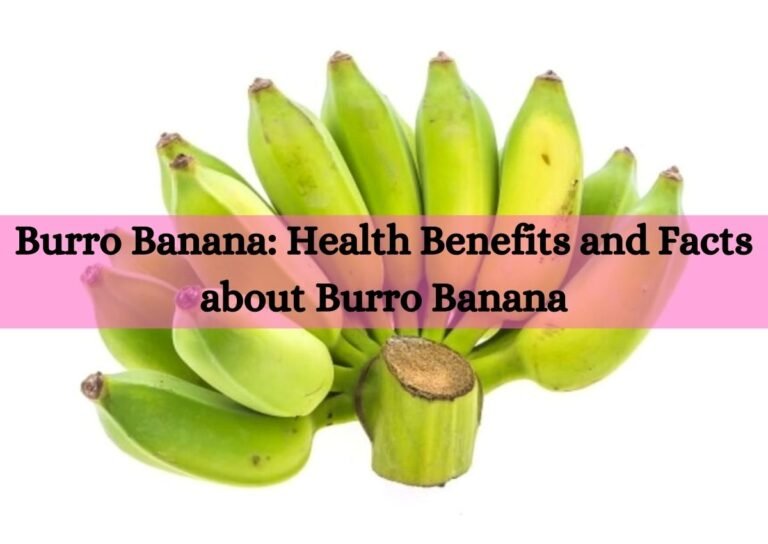 Burro Banana: Health Benefits and Facts about Burro Banana