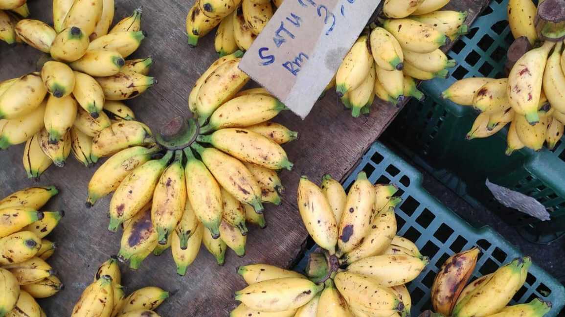 Burro Banana Benefits