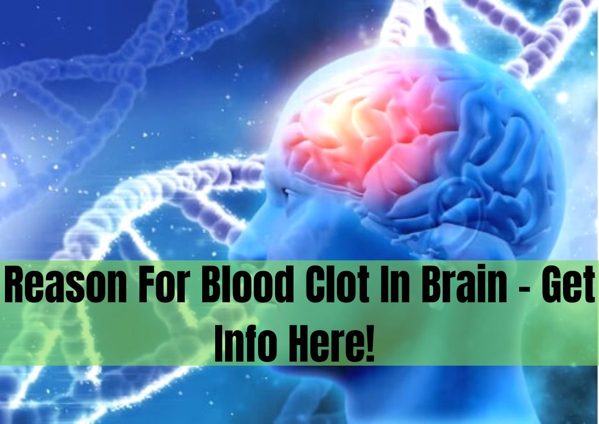 Reason For Blood Clot In Brain Get Info Here